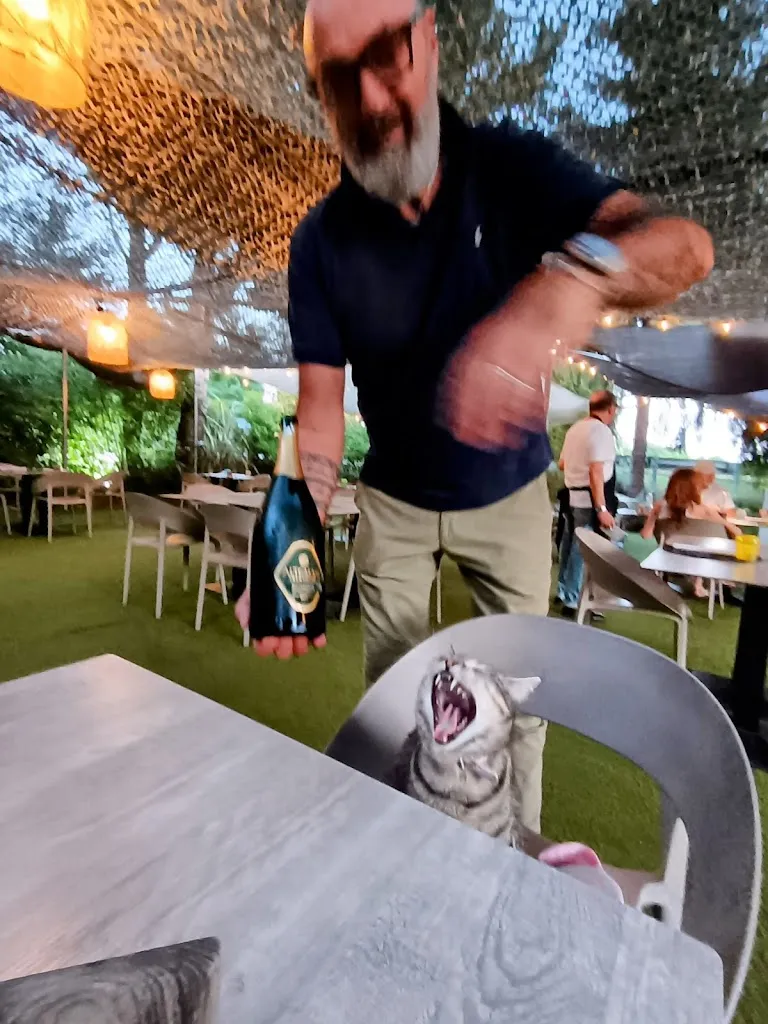 Gigia TravelCat_Al Tajo Osteria Cicchetteria_Musile di Piave_review