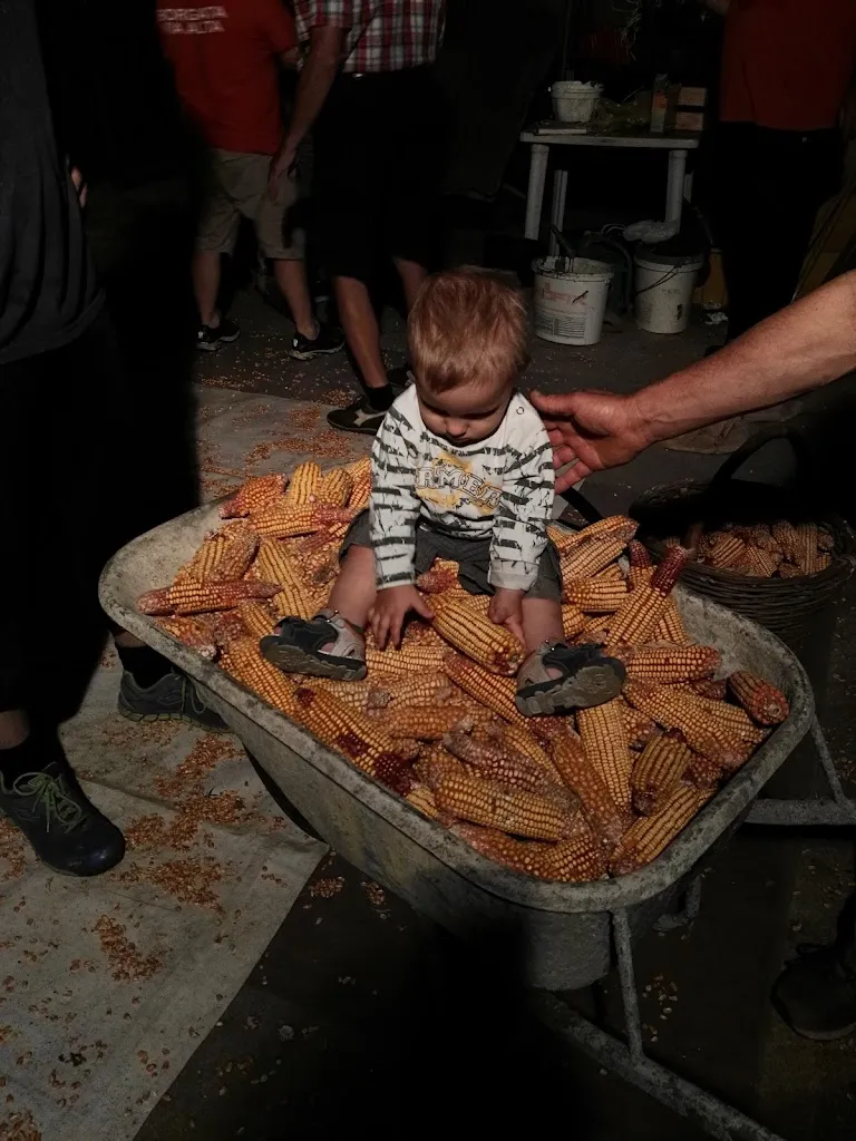 Menu_Osteria all'Alpino da Tormena_Musano_image_3