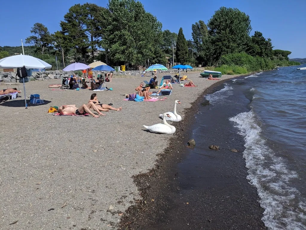 Alex Pellegrineschi_IL VIALE caffè & bistrot_Musano_review