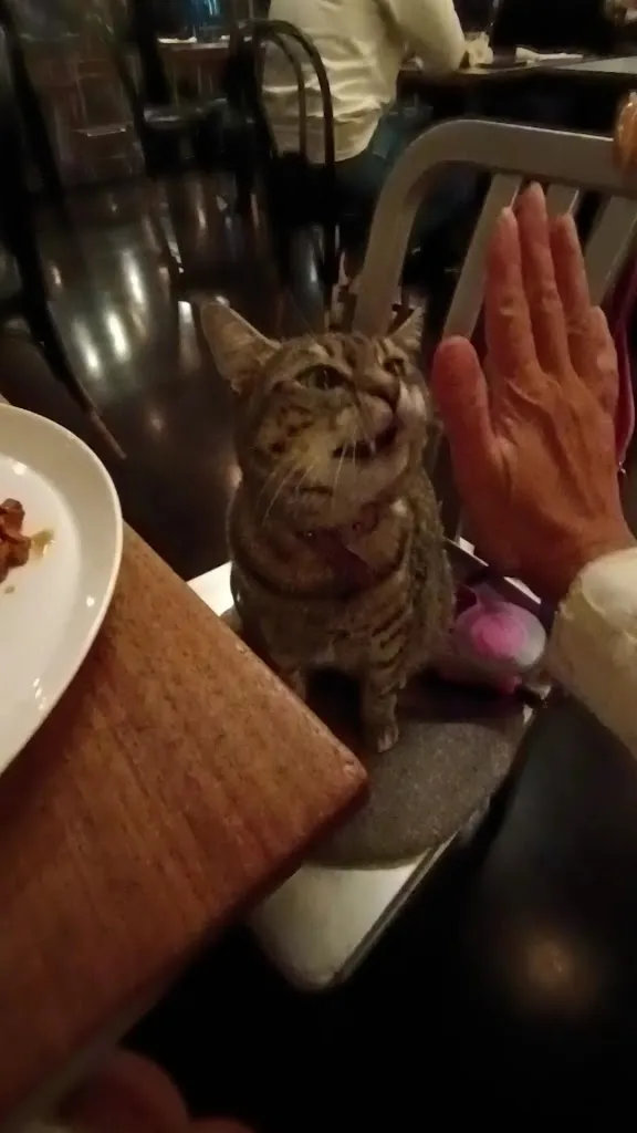 Nidaba 1982_Montebelluna_slider_image_2