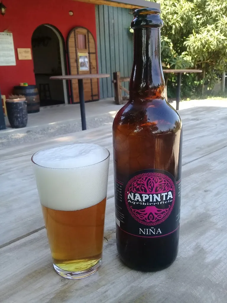 Menu_Agribirrificio Napinta_Montebelluna_image_5