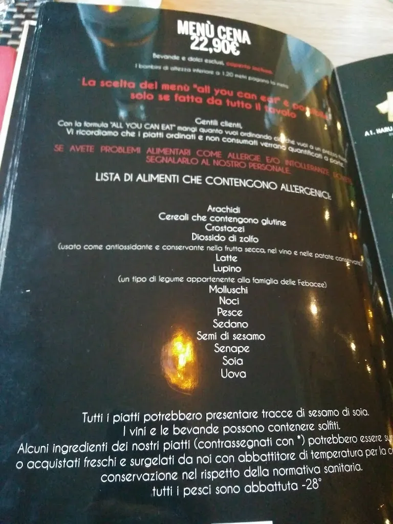 Menü_Ristorante Giapponese Yama_Montebelluna_Bild_3