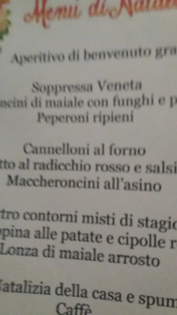 Menu_La Rocca d'Oro_Nogarole Rocca_image_3