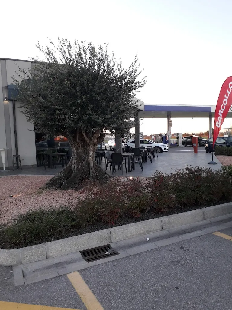 Marco Torazzi_BARCOLLO NOGAROLE Bar Trattoria_Nogarole Rocca_review