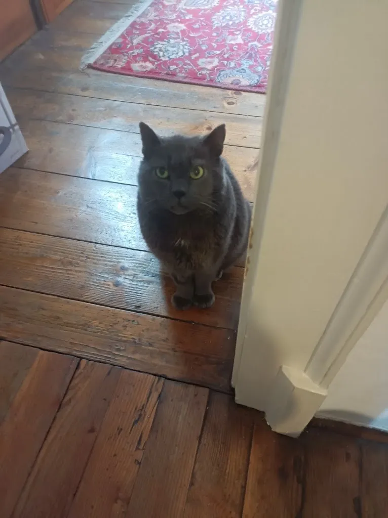 Angela Burstow_Osteria Ultima Spiaggia_Nervesa della Battaglia_Bewertung