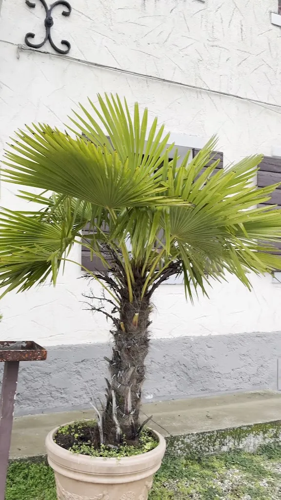 Federica Sangiorgi_Ristorante Amadio_Nervesa della Battaglia_review