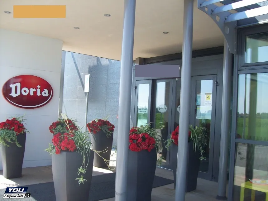 Factory Outlet Doria restaurant in Orsago