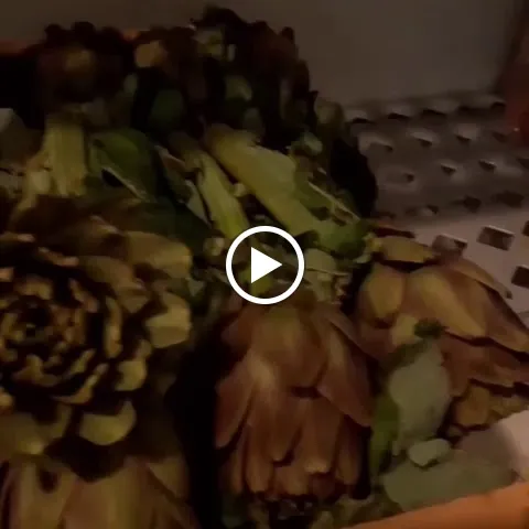 Al Giardinetto Oderzo - Pizza e Cucina_Oderzo_slider_image_2