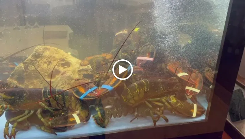 La Rosa dei Venti_Celano_slider_image_2