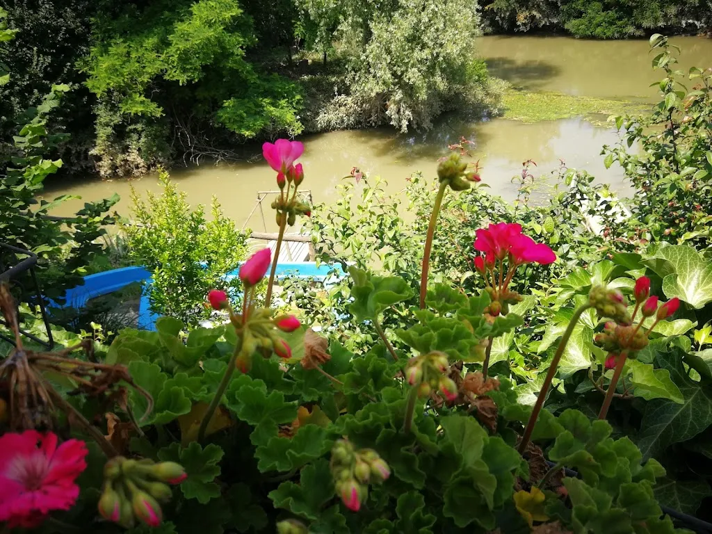 Al Cacciatore Da Vittorio_Pernumia_slider_image_1