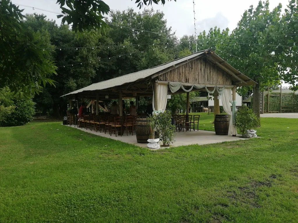 Tenuta Civrana_Pegolotte_slider_image_3