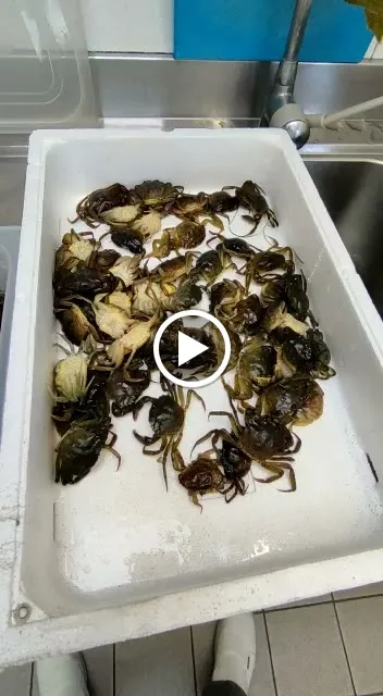 Ristorante Locanda Dussin_Piavon_slider_image_2