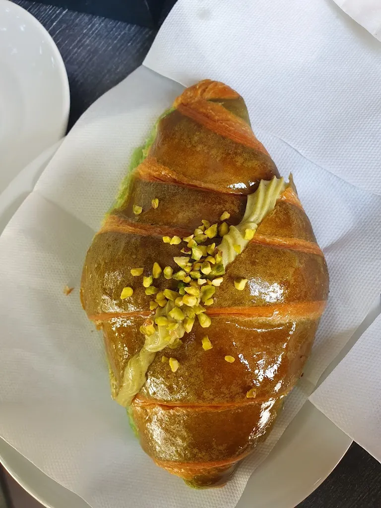 Ion Dreglea_Marchioro Luigi_Pionca_review