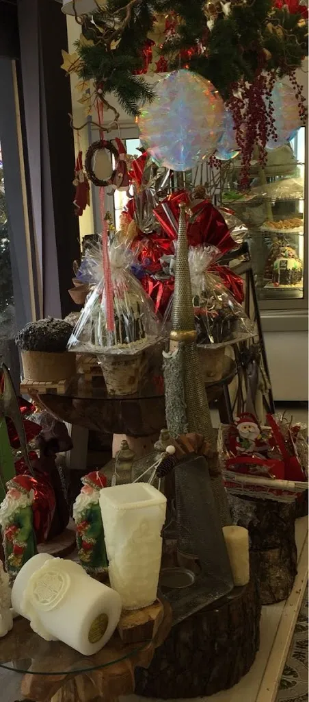 Ashant Chalasani_Marchioro Luigi_Pionca_review