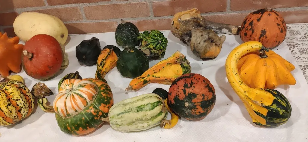 Menu_Trattoria da Battiston_Piombino Dese_image_8