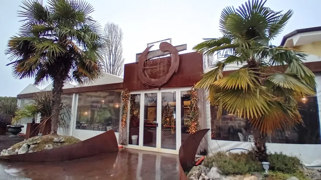 Panta Rei - Polesella_Polesella_slider_image_2