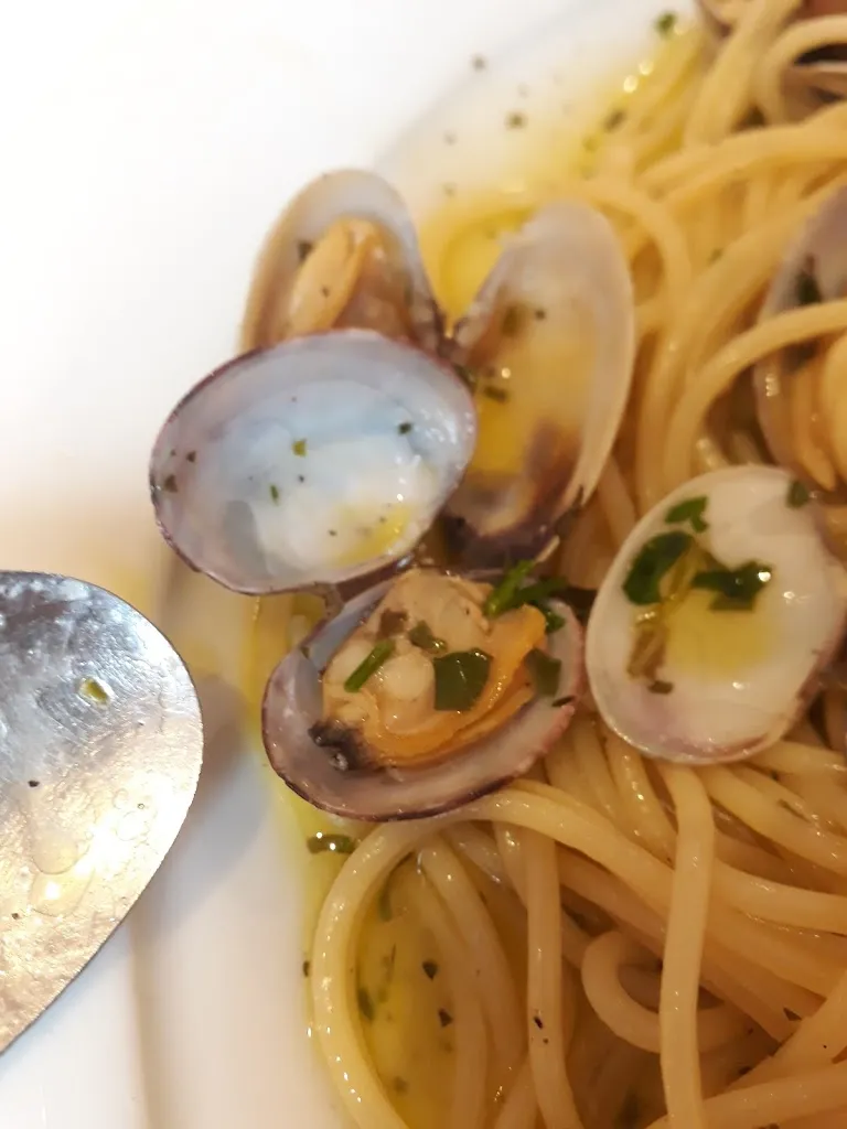 Menu_Hotel Capri_Ponte nelle Alpi_image_8