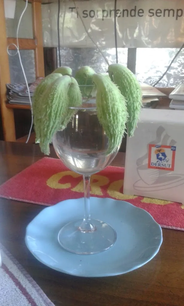 Menu_Parisotto Francesco_Postioma_image_8