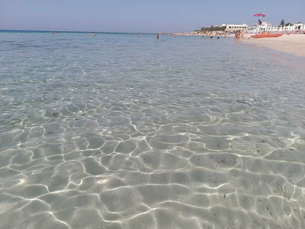 Angelica Grasso_Murgia Garden_Quasano_recensione