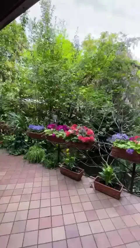 Boho Padova Ristorante_Provincia di Padova_slider_image_2