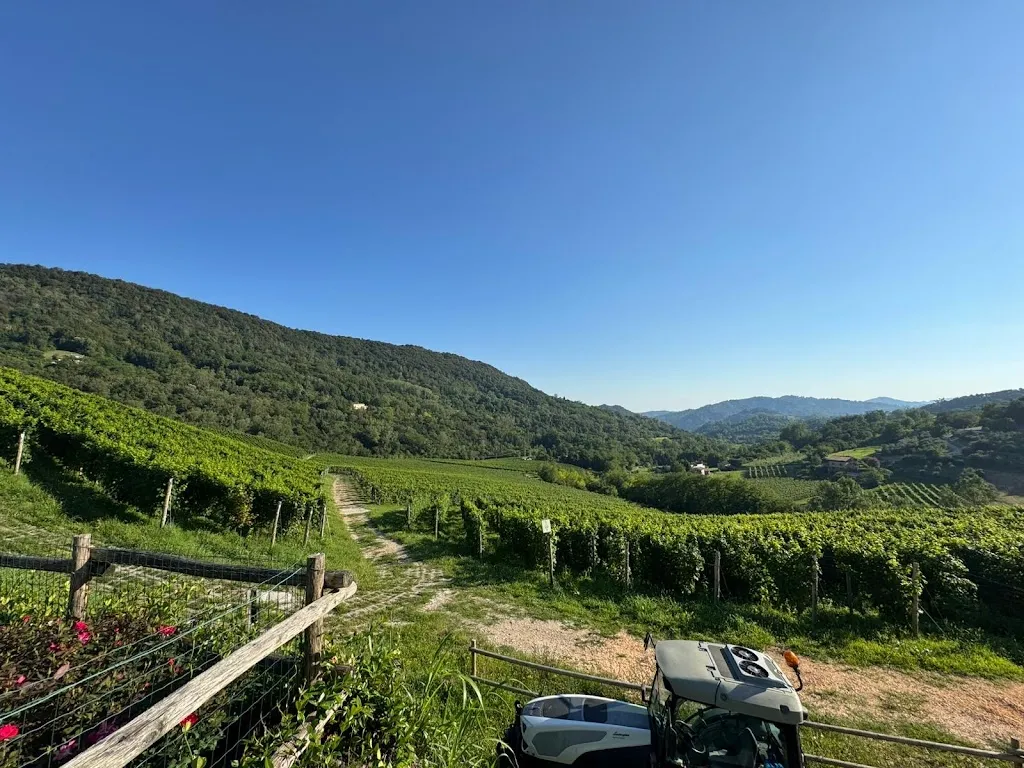 L. De Beukelaer_Azienda Agricola Ca 'Piadera_Revine_recensione