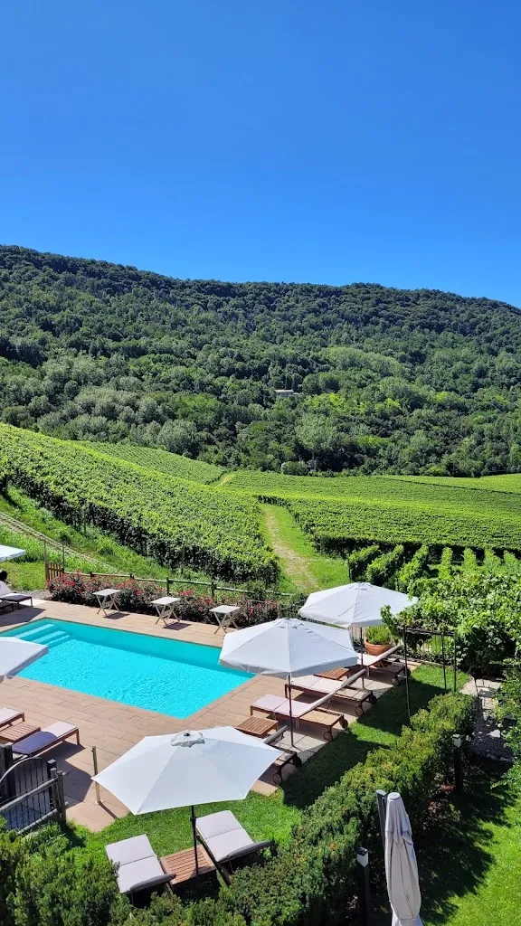 Julia Kröhnert_Azienda Agricola Ca 'Piadera_Revine_recensione