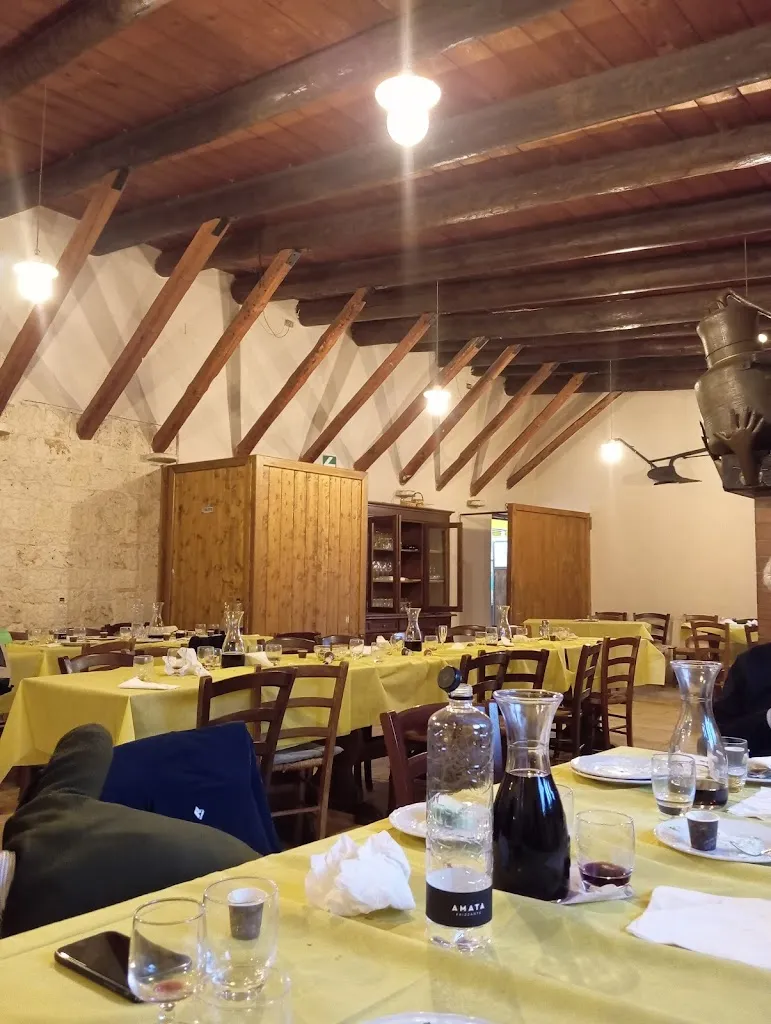 Patrizia Nardeschi_Agriturismo ARMIENTI - Parco La Grotta_Quasano_review