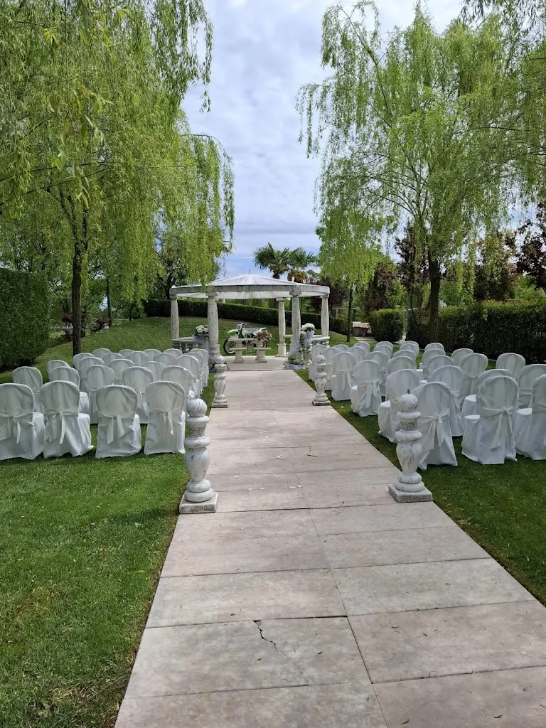 Alex Soana_Ristorante Bacchus_Quinto di Treviso_review