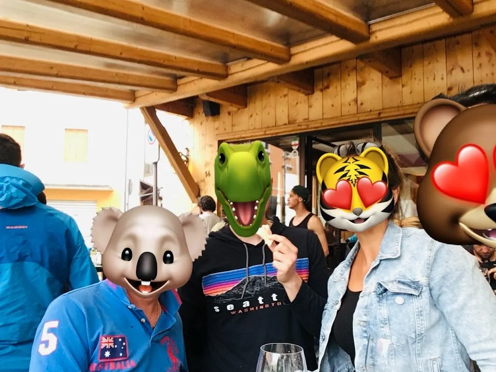 B. D._Alpi_Roana_review