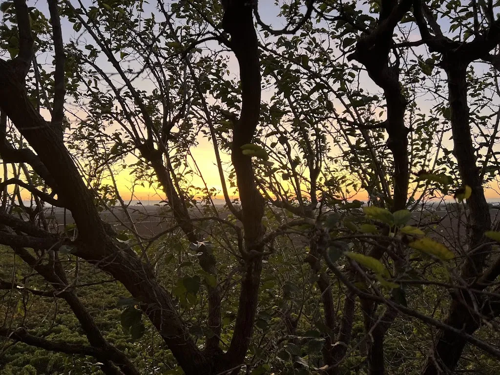 Mauro silvestri_Land of the Sun_Rignano Garganico_review