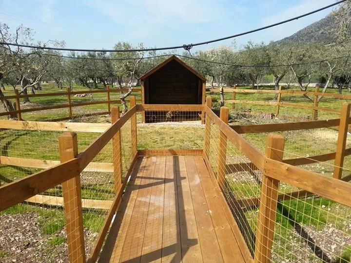 Land of the Sun_Rignano Garganico_slider_image_3