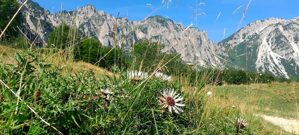 Maria Rosa Rizzo_Locanda Obante Di Freddi Serena_Recoaro Terme_review