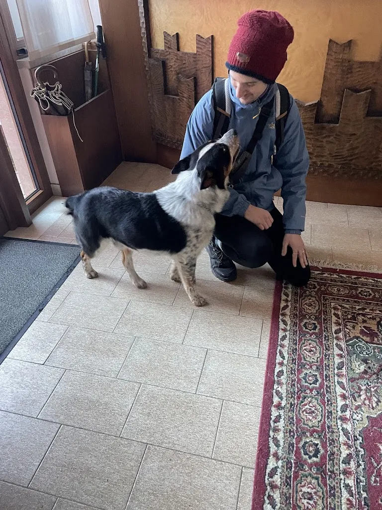 Simone Bovo_Hotel Ristorante Al Castello_Recoaro Terme_review