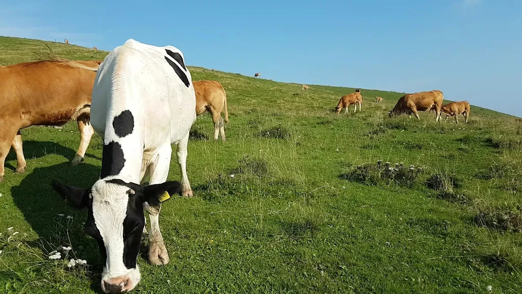 Conca dei Parpari Ristorante Bar Alloggio_Roverè Veronese_slider_image_2