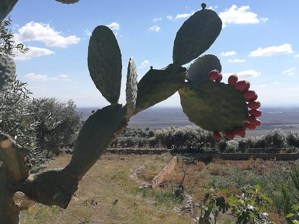 Agriturismo Fiore_Rignano Garganico_slider_image_1