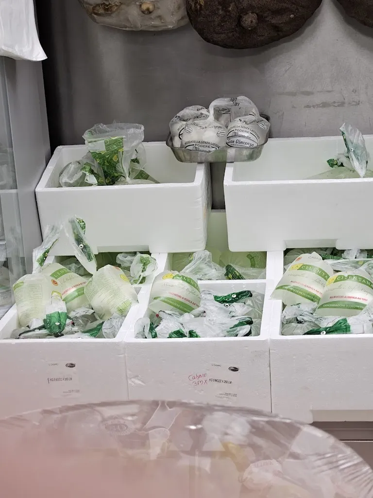 Ivan Rubini_Il Casaro di Sambruson_Sambruson_review