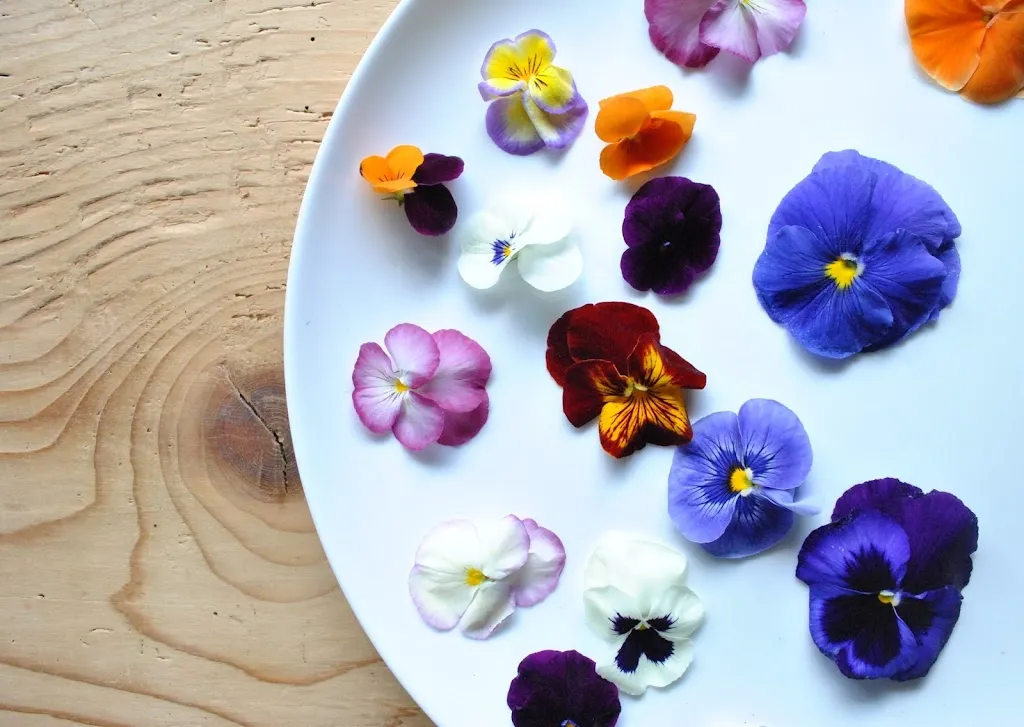 Menu_Le Macine_San Giorgio delle Pertiche_image_9