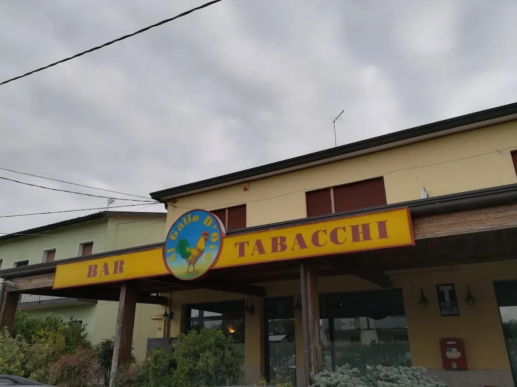 Davide Specchi_Pizzeria Ristorante Bar Al Gallo D'oro_San Giorgio delle Pertiche_review