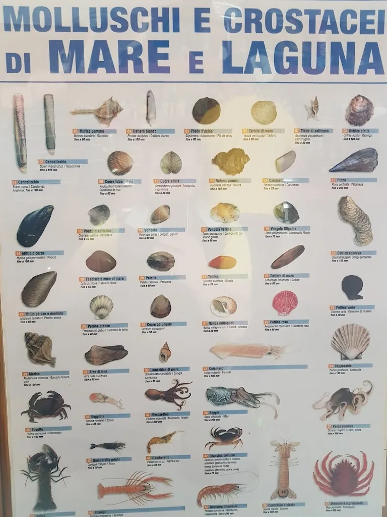 Menu_Ristorante Adriatica_Rosolina_image_1