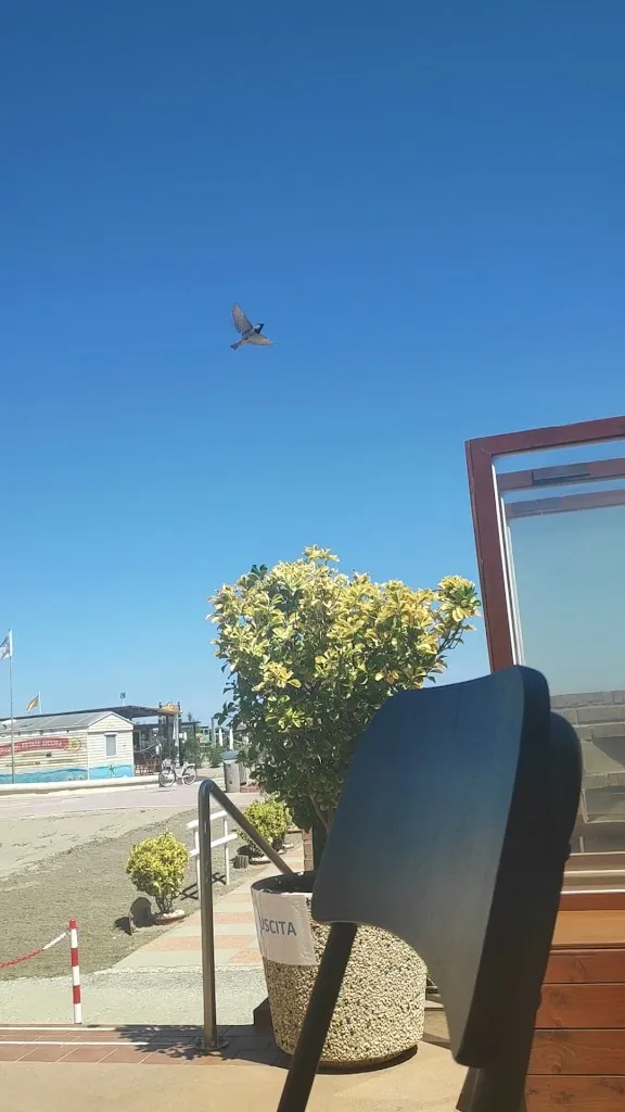 Albergo Ristorante Fiorella_Rosolina_slider_image_2