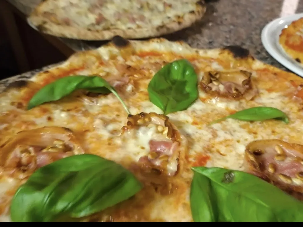 Bruno Twenty Three_Sky Light_Rosolina_review