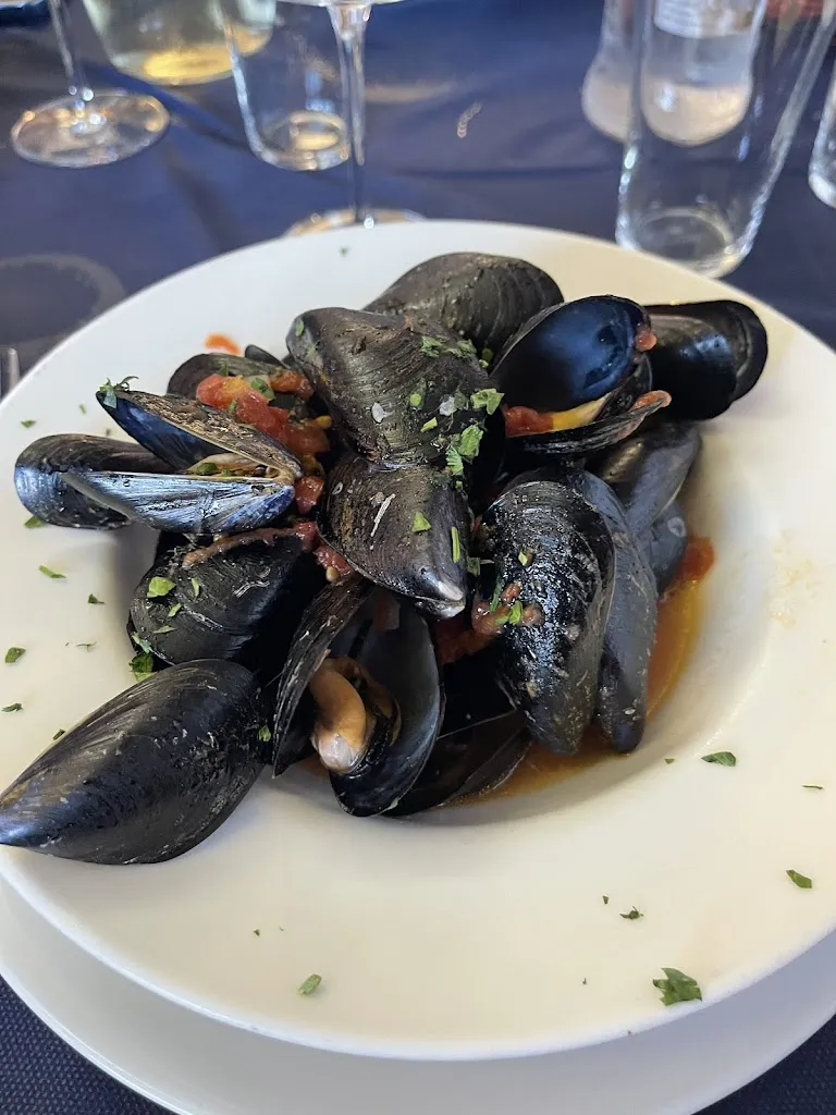 silvi_Aurora II S.n.c._Rosolina_review