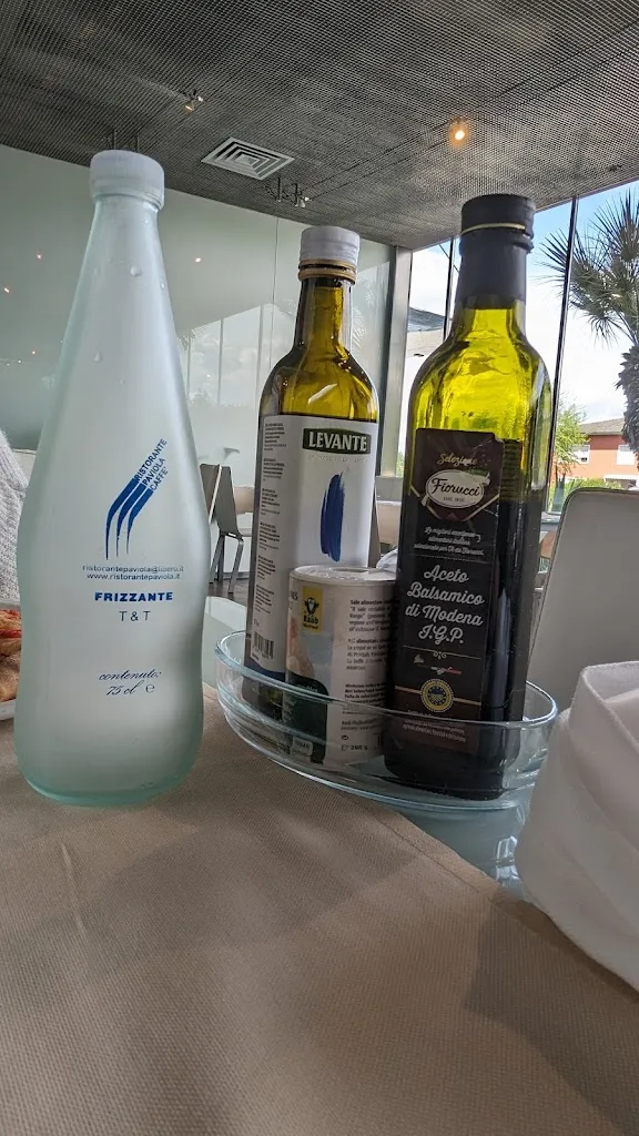 Menu_Ristorante Paviola - Pizzeria Zanzara Club_San Giorgio in Bosco_image_6