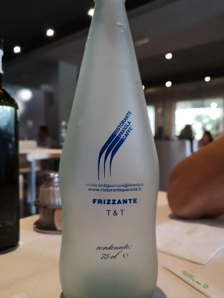 Menu_Ristorante Paviola - Pizzeria Zanzara Club_San Giorgio in Bosco_image_9