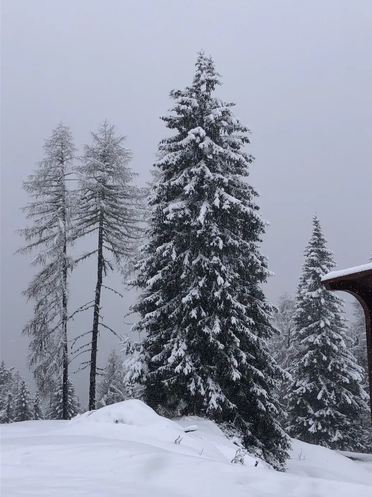 Matteo_Rifugio De Dòo_San Nicolò Comelico_review