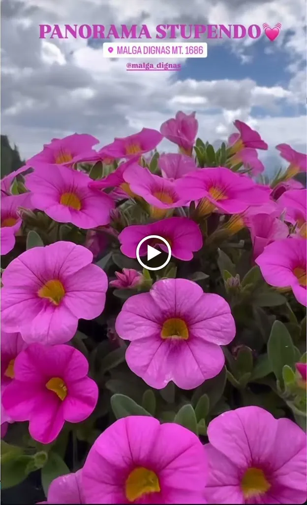 Agriturismo Malga Dignas_San Pietro di Cadore_slider_image_2
