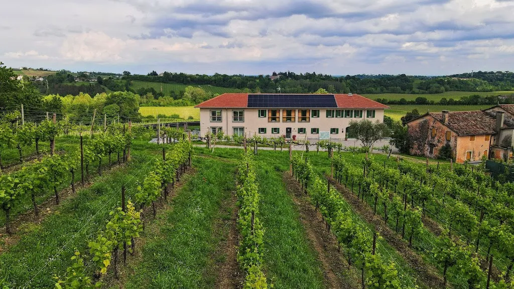 Mani Sagge - Cantina Locanda Agriturismo Wine Bar_San Pietro di Feletto_slider_image_1