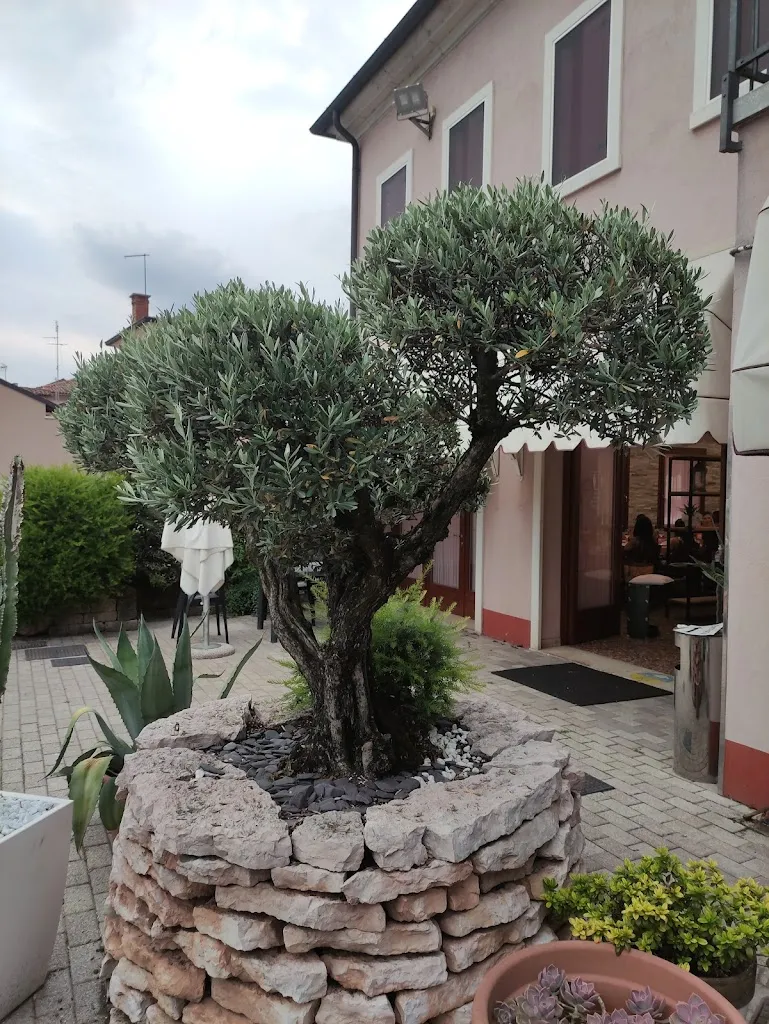 Inna Kaminskay_Trattoria/Albergo Alla Stella_San Martino di Lupari_review