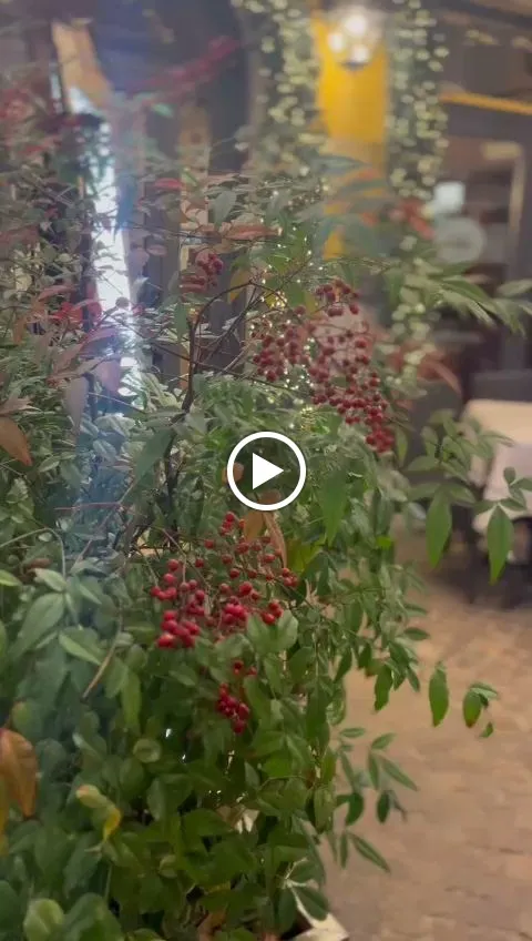 Trattoria Pizzeria San Zeno da Nicola Dal 1989_San Zeno_slider_image_2