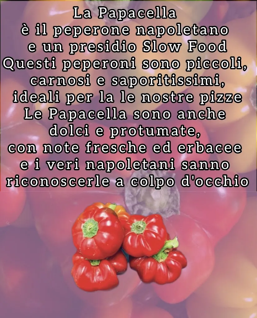 Menu_Pizzeria Da Angelo_San Vito di Leguzzano_image_4